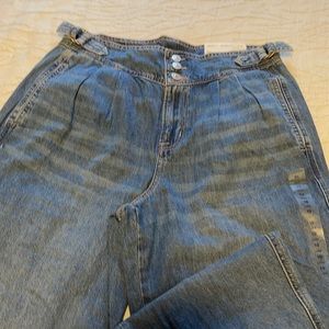 New American Eagle Relaxed Mom jean